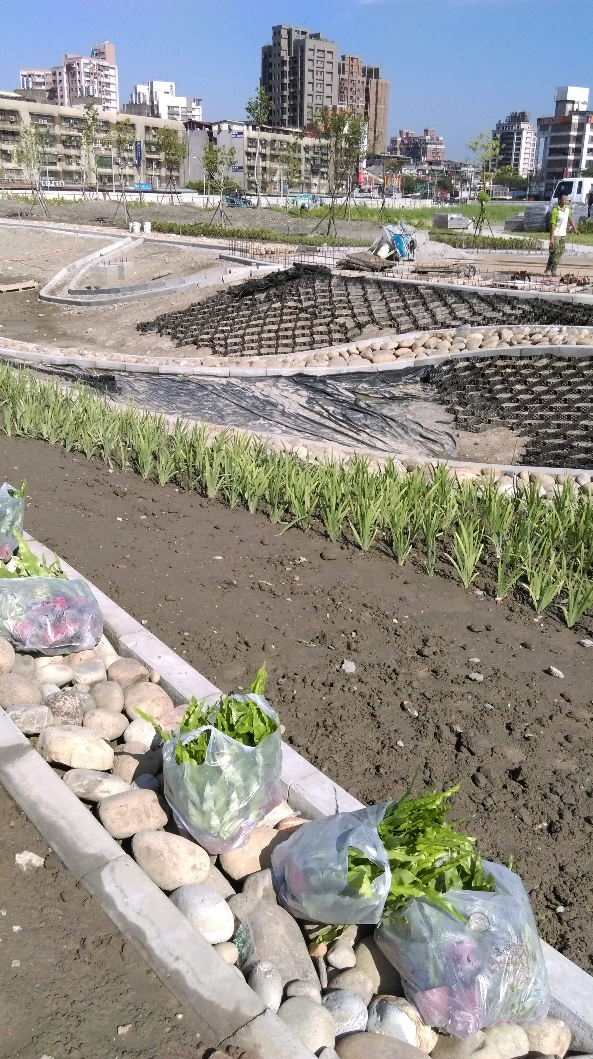 南港玉東公園 景觀滯洪池