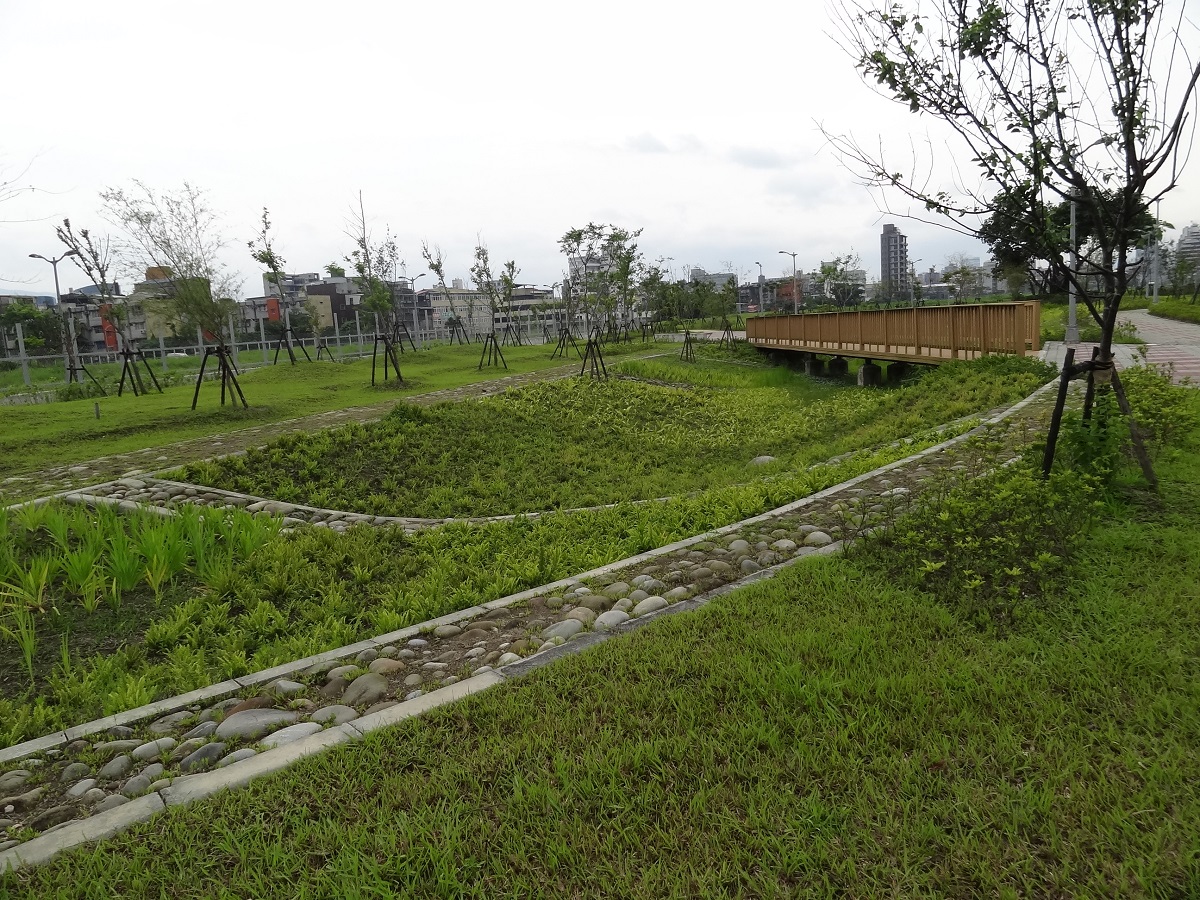 南港玉東公園 景觀滯洪池